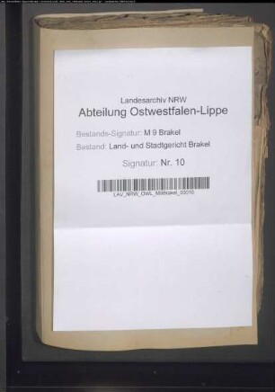 Stadt Brakel: Bd. 3