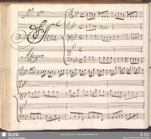 No. 5 Leonardo Vinci - Partenope 