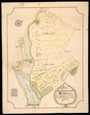 Steinhausen "Mappa Geometrica des Wilden oder Steinhauser Riedtes, in was Verfassung dasselbe in lauffendtem Jahr 1765 gestanden"...