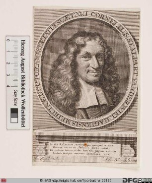 Bildnis Cornelis Stalpaert van der Wiel(en)