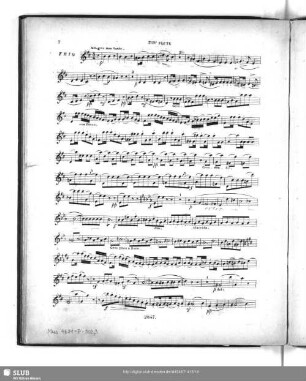 3. Flute.