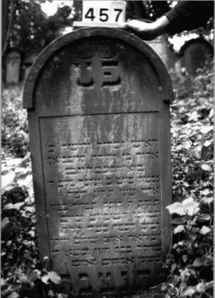 Grabstein 457 (Index: 99803747) Material: Sandstein Zustand: partiell verwitt/Textverlust Maße HxBxT: 120x59x11 cm Beschreibung: Stele mit verdachtem Rundbogen, profiliertem Rand, Giebelfeld Besonderheit: längerer Text: Grabstein 457