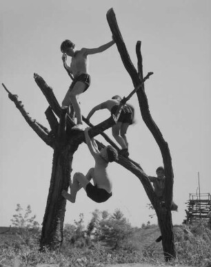 Archivfotografie "mannheim_kinderspielplaetze_1010m"