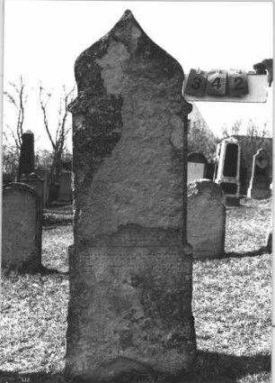 Grabstein 342 (Index: 99786261) Zustand: größter Teil abgeblättert Maße HxBxT: 163x56x8 cm: Grabstein 342