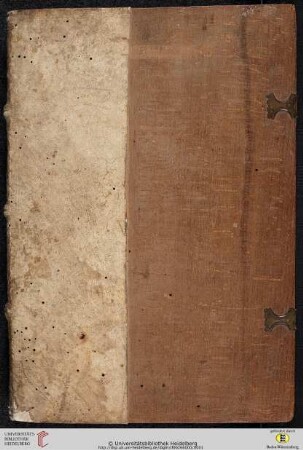 Formularium advocatorum et procuratorum Romanae curie et Regii Parleamenti : practicam cum iura communia clarissime ostendens ...