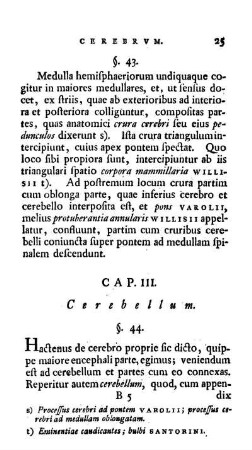 Cap. III. Cerebellum.
