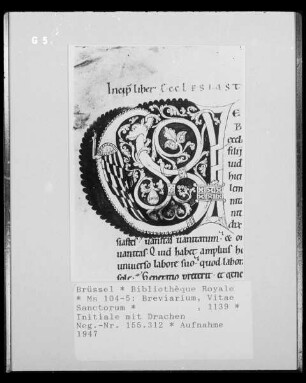 Ms 104/105 Breviarium, Vitae Sanctorum, Initiale mit Drache