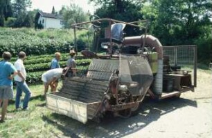 Fotografie: Obstbau, Erntetechnik, Erdbeeren