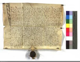 Henn Botterclois zu Kirchhain verkauft dem Springel Echtzel v. Butzbach, Komthur u. Pfarrer zu Kirchhain jährl. drei Gänse von seinem ein Halb Mor...