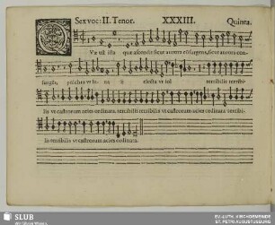 XXXIII. Quae est ista quae ascendit