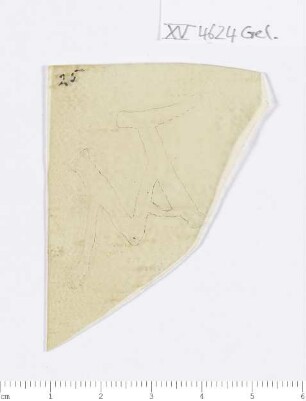 CIL XV 4624, Gelatinefolie