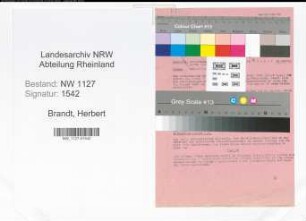 Entnazifizierung Herbert Brandt , geb. 00.00.0000 (Ingenieur)