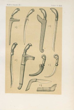 Pl. XXVII