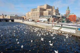 Stockholm - Opernhaus im Winter : Opernhaus und Jakobs Kyrka im Zentrum, davor auf dem Mälarsee Schwäne und Enten, aufgenommen 2006 in Stockholm