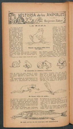 La rana : Historia de los animales