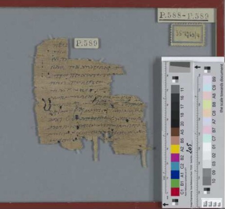 Fragment