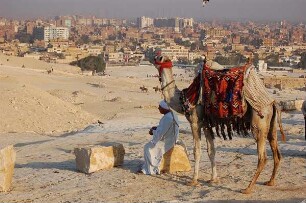 Kairo - Reitkamel an den Pyramiden : Kamelbesitzer wartet am Rande der Pyramiden von Gizeh auf Touristen, die reiten möchten, Hintergrund: Kairo, aufgenommen 2006