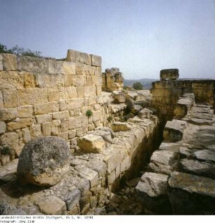 Israel: Samaria