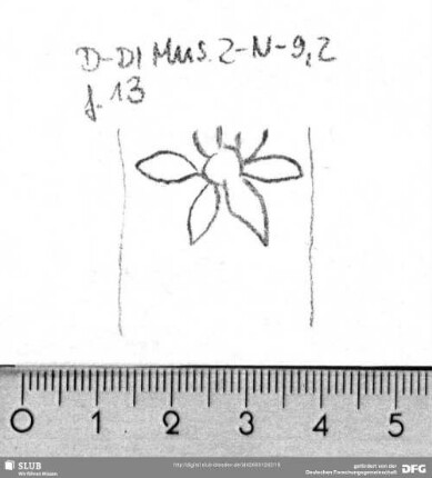 W-Dl-523 Löwe / Blüte