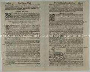 Bogenschießen/ Rentier (2 Bildfelder aus Münster/Cosmographia)