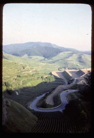 Flurbereinigung im Kaiserstuhl