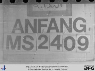 MF Mau 2409