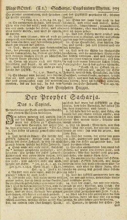 Der Prophet Sacharja.