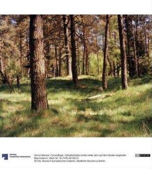 Camouflage - Scharfschütze rechts hinter dem auf dem Boden liegenden Baumstamm