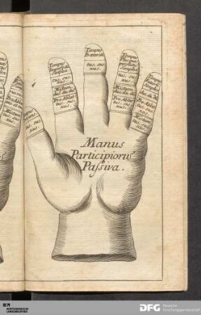 Manus Participiorus Passiva.