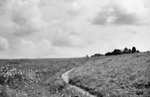 Wiesenweg