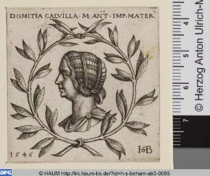 Domitia Calvilla