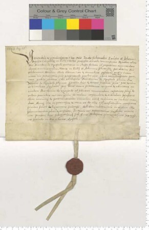 Dem Propste Jacob Schomaker präsentiert Dorothea, die Witwe des Brandanus Tzerstede, für eine Commende am Altar Mariä Verkündigung zu St. Johannis den Stud. Brandanus Tzerstede [lat].