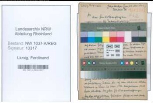 Entnazifizierung Ferdinand Liesig , geb. 27.03.1909 ()