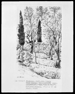 Landschaft