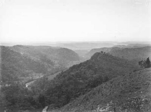 Vegetationsansicht : Vegetationslandschaft eines Gebirges