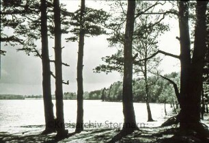 Großensee