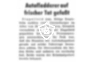Autofledderer auf frischer Tat gefaßt