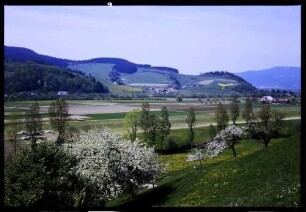Kirchzarten: Segelflugplatz Kirchzarten mit Blüten und Talblick