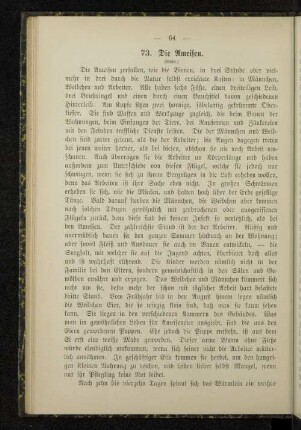 73. Die Ameisen.