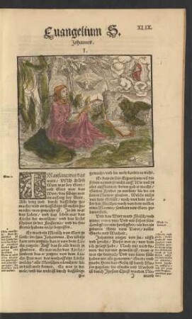 Evangelium S. Johannes.