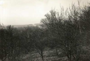 Auf den Hellerbergen bei Hellerau
