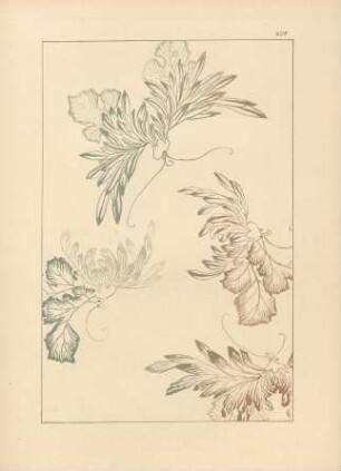 ADF. Kunstgewerbliches Muster - Stilisierte Chrysanthemumblumen und -blätter