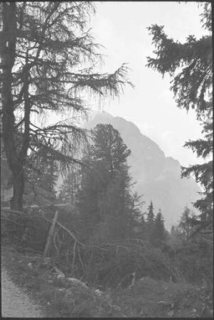 Am Kreuzeck