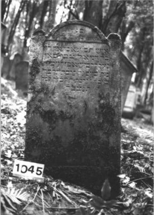 Grabstein 1045 (Index: 99899653) Material: Sandstein Zustand: angewittert, Rückseite verwittert Maße HxBxT: 122x69x10 cm Beschreibung: Stele mit eingezogenem Rundbogenabschluss, Einzüge halbrund erhöht: Grabstein 1045
