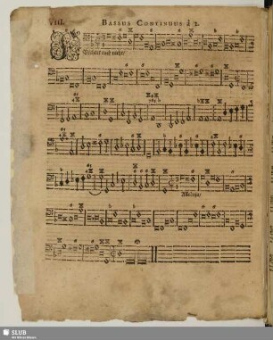 VIII. Fürchtet euch nicht
