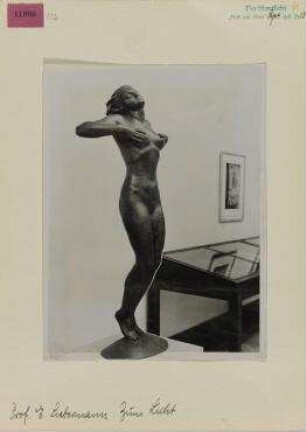 Prof. F. Liebermann: Zum Licht