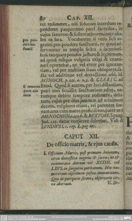 Caput XII. De officio matris, & eius causis