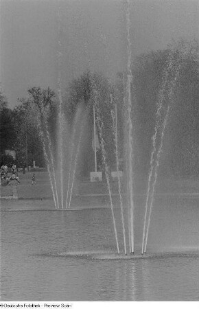 Teich mit Springbrunnen