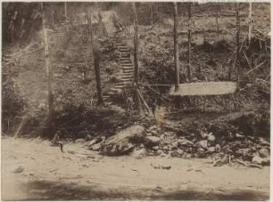 Rodung im bolivianischen Urwald