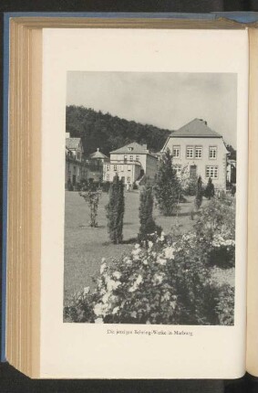 Die jetzigen Behring-Werke in Marburg